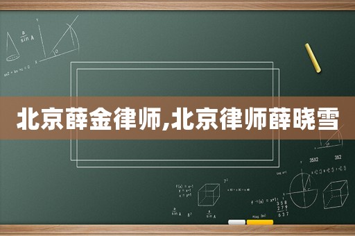 北京薛金律師,北京律師薛曉雪