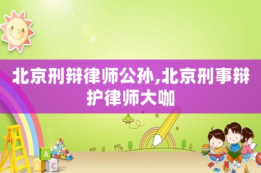 北京刑辯律師公孫,北京刑事辯護律師大咖