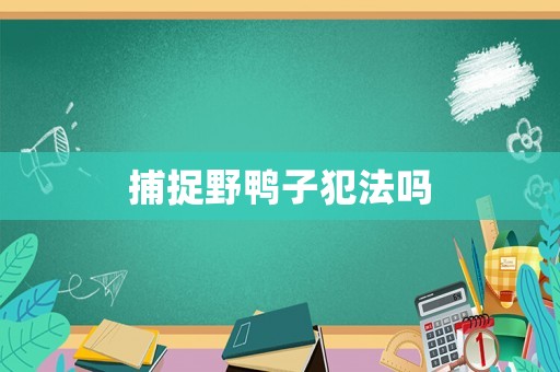 捕捉野鴨子犯法嗎