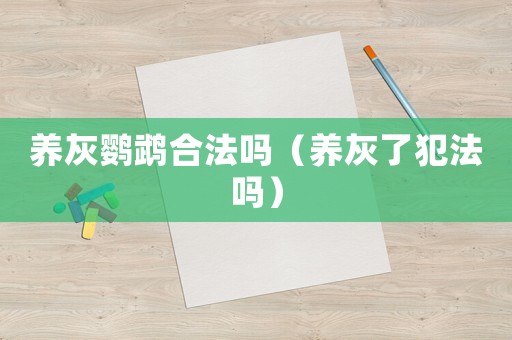 養灰鸚鵡合法嗎（養灰了犯法嗎）
