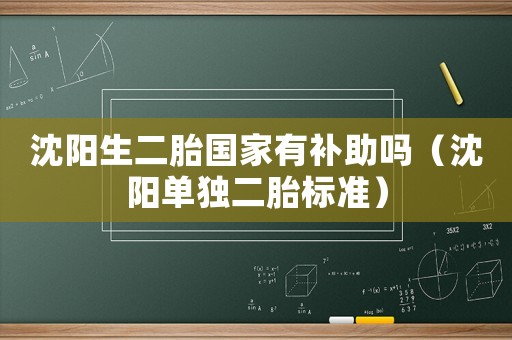 沈陽生二胎國家有補助嗎（沈陽單獨二胎標準）