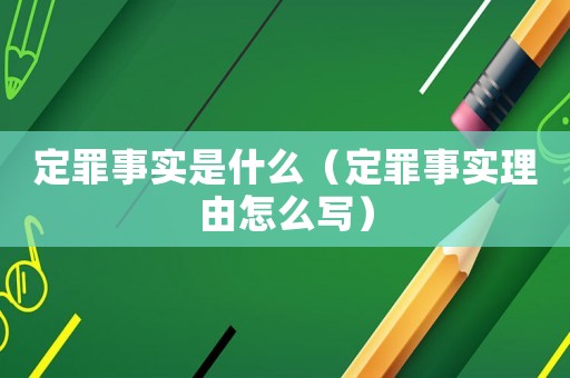 定罪事實是什么（定罪事實理由怎么寫）