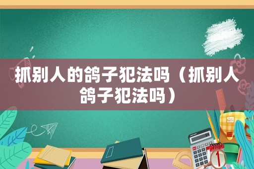 抓別人的鴿子犯法嗎（抓別人鴿子犯法嗎）