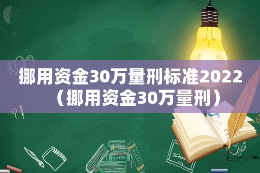 挪用資金30萬量刑標準2022（挪用資金30萬量刑）