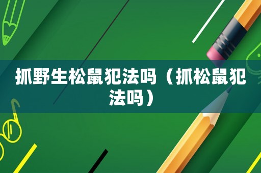 抓野生松鼠犯法嗎（抓松鼠犯法嗎）