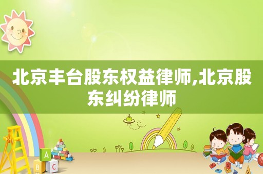 北京豐臺股東權益律師,北京股東糾紛律師