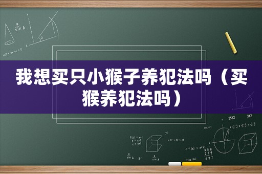 我想買只小猴子養犯法嗎（買猴養犯法嗎）