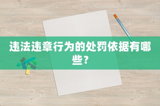 違法違章行為的處罰依據有哪些？