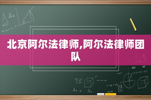 北京阿爾法律師,阿爾法律師團隊