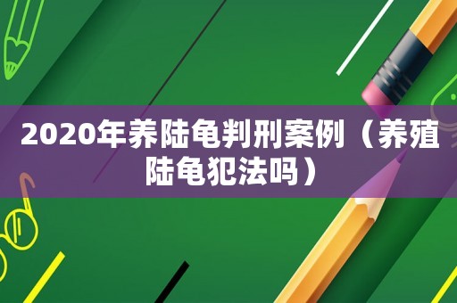 2020年養陸龜判刑案例（養殖陸龜犯法嗎）
