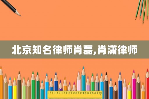 北京知名律師肖磊,肖瀟律師