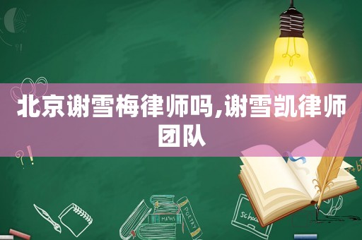 北京謝雪梅律師嗎,謝雪凱律師團隊