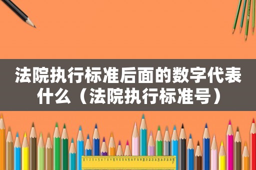 法院執行標準后面的數字代表什么（法院執行標準號）