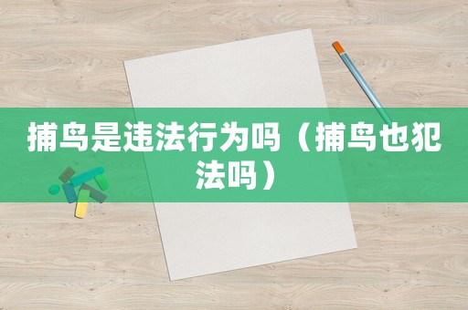 捕鳥是違法行為嗎（捕鳥也犯法嗎）