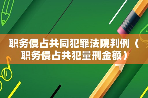 職務(wù)侵占共同犯罪法院判例（職務(wù)侵占共犯量刑金額）