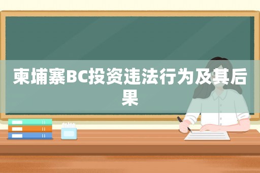 柬埔寨BC投資違法行為及其后果