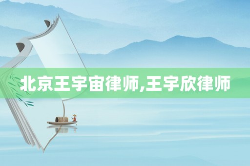 北京王宇宙律師,王宇欣律師