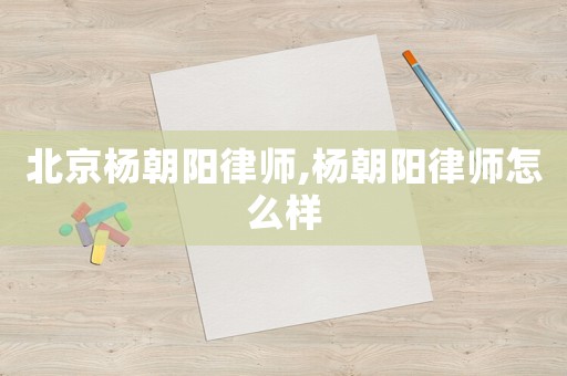 北京楊朝陽律師,楊朝陽律師怎么樣