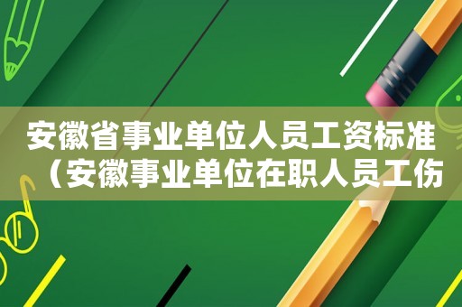 安徽省事業單位人員工資標準（安徽事業單位在職人員工傷待遇）