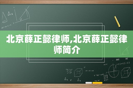 北京薛正懿律師,北京薛正懿律師簡介