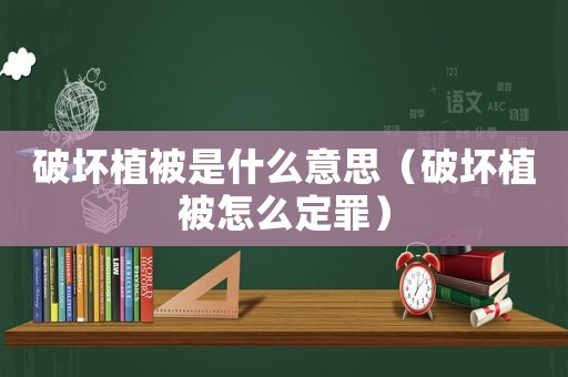 破壞植被是什么意思（破壞植被怎么定罪）