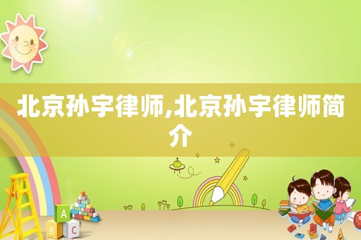 北京孫宇律師,北京孫宇律師簡介