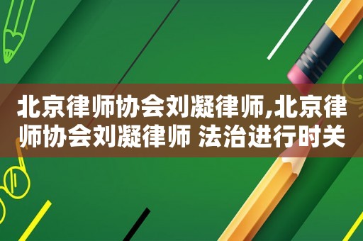 北京律師協會劉凝律師,北京律師協會劉凝律師 法治進行時關于借貸 視頻