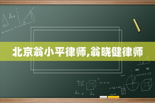 北京翁小平律師,翁曉健律師