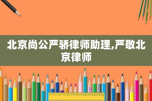 北京尚公嚴驕律師助理,嚴敬北京律師
