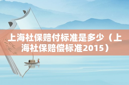 上海社保賠付標準是多少（上海社保賠償標準2015）