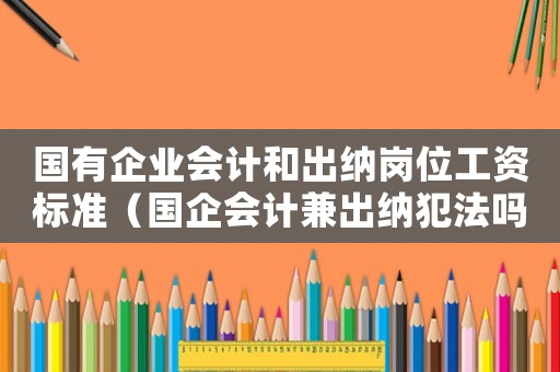 國有企業會計和出納崗位工資標準（國企會計兼出納犯法嗎）