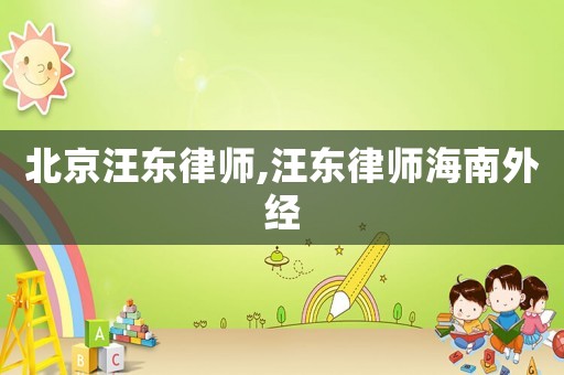 北京汪東律師,汪東律師海南外經