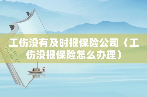 工傷沒有及時報保險公司（工傷沒報保險怎么辦理）