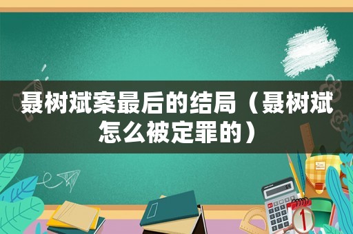 聶樹斌案最后的結局（聶樹斌怎么被定罪的）