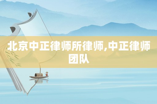 北京中正律師所律師,中正律師團隊