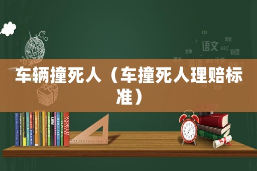 車輛撞死人（車撞死人理賠標準）