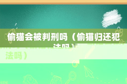 偷貓會被判刑嗎（偷貓歸還犯法嗎）