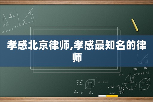 孝感北京律師,孝感最知名的律師