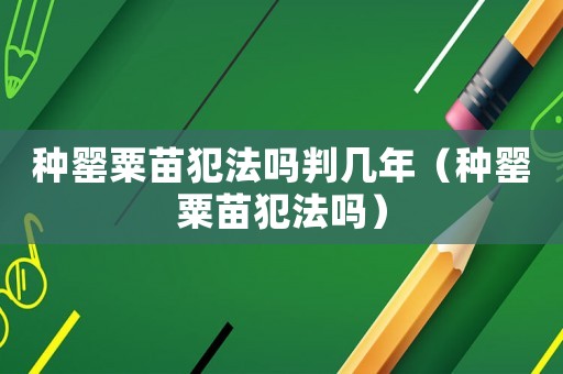 種罌粟苗犯法嗎判幾年（種罌粟苗犯法嗎）