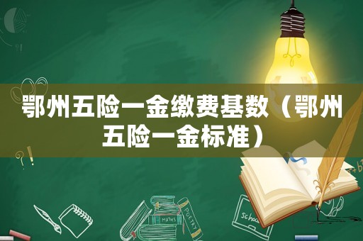 鄂州五險一金繳費基數（鄂州五險一金標準）