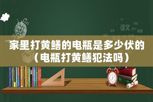 家里打黃鱔的電瓶是多少伏的（電瓶打黃鱔犯法嗎）