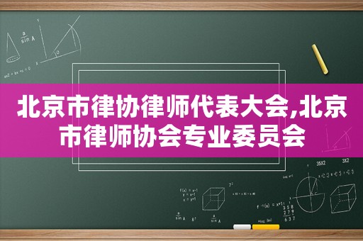 北京市律協律師代表大會,北京市律師協會專業委員會
