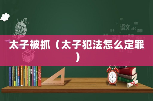 太子被抓（太子犯法怎么定罪）