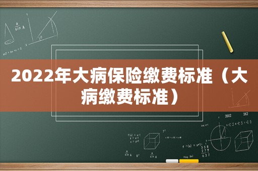 2022年大病保險繳費標準（大病繳費標準）