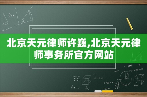 北京天元律師許巍,北京天元律師事務所官方網站