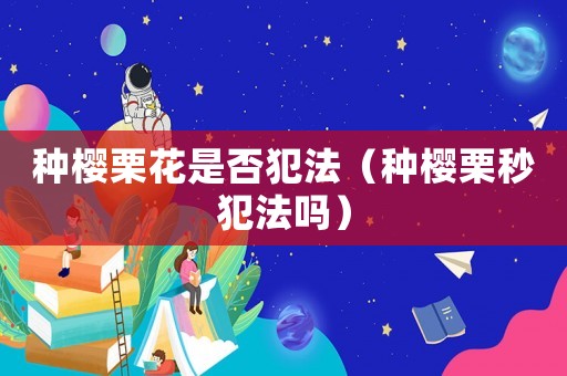 種櫻栗花是否犯法（種櫻栗秒犯法嗎）