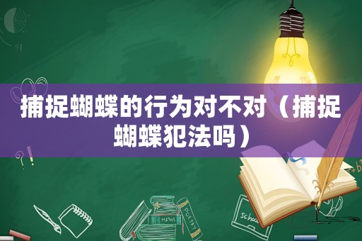 捕捉蝴蝶的行為對不對（捕捉蝴蝶犯法嗎）