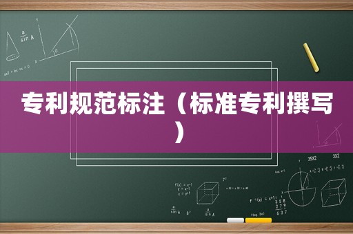 專利規(guī)范標注（標準專利撰寫）