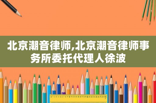 北京潮音律師,北京潮音律師事務所委托代理人徐波