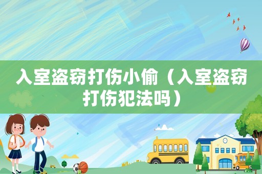 入室盜竊打傷小偷（入室盜竊打傷犯法嗎）